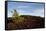 Volcanic Lava Fields, Craters of the Moon National Monument, Idaho-Paul Souders-Framed Stretched Canvas