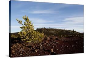 Volcanic Lava Fields, Craters of the Moon National Monument, Idaho-Paul Souders-Stretched Canvas