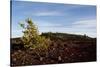 Volcanic Lava Fields, Craters of the Moon National Monument, Idaho-Paul Souders-Stretched Canvas