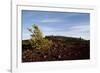 Volcanic Lava Fields, Craters of the Moon National Monument, Idaho-Paul Souders-Framed Photographic Print