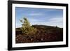 Volcanic Lava Fields, Craters of the Moon National Monument, Idaho-Paul Souders-Framed Photographic Print