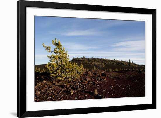 Volcanic Lava Fields, Craters of the Moon National Monument, Idaho-Paul Souders-Framed Photographic Print