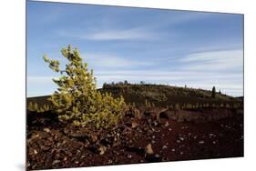 Volcanic Lava Fields, Craters of the Moon National Monument, Idaho-Paul Souders-Mounted Photographic Print