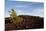 Volcanic Lava Fields, Craters of the Moon National Monument, Idaho-Paul Souders-Mounted Photographic Print