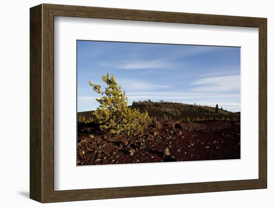 Volcanic Lava Fields, Craters of the Moon National Monument, Idaho-Paul Souders-Framed Photographic Print