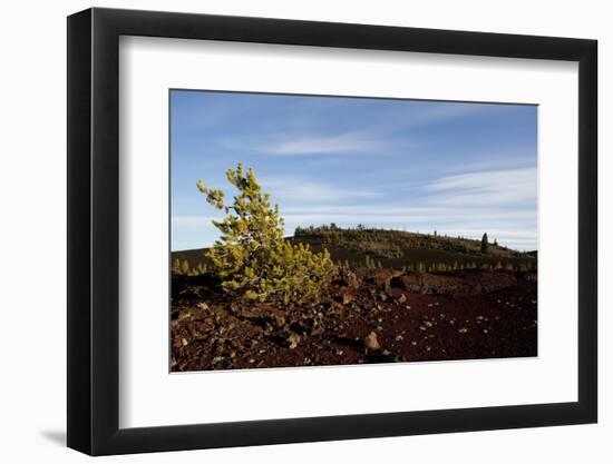 Volcanic Lava Fields, Craters of the Moon National Monument, Idaho-Paul Souders-Framed Photographic Print