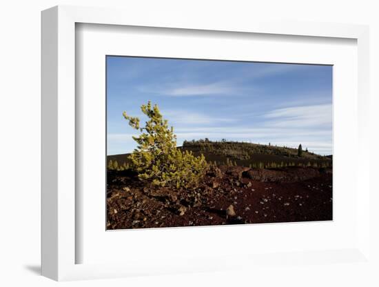 Volcanic Lava Fields, Craters of the Moon National Monument, Idaho-Paul Souders-Framed Photographic Print