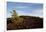 Volcanic Lava Fields, Craters of the Moon National Monument, Idaho-Paul Souders-Framed Photographic Print