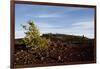 Volcanic Lava Fields, Craters of the Moon National Monument, Idaho-Paul Souders-Framed Photographic Print