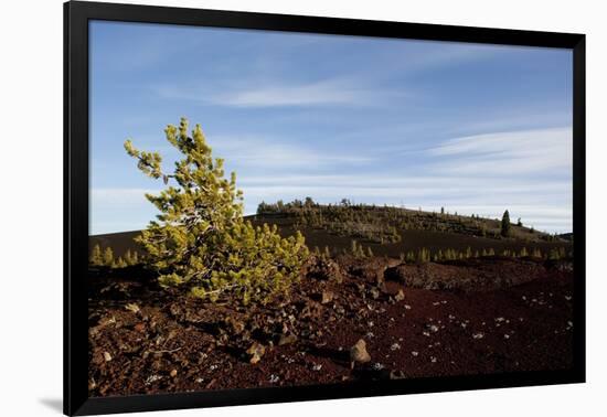 Volcanic Lava Fields, Craters of the Moon National Monument, Idaho-Paul Souders-Framed Photographic Print