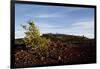 Volcanic Lava Fields, Craters of the Moon National Monument, Idaho-Paul Souders-Framed Photographic Print