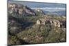 Volcanic plateau of Sierra Tarahumara, above Copper Canyon, Chihuahua, Mexico, North America-Tony Waltham-Mounted Photographic Print