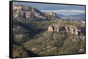 Volcanic plateau of Sierra Tarahumara, above Copper Canyon, Chihuahua, Mexico, North America-Tony Waltham-Framed Stretched Canvas