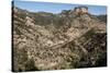 Volcanic plateau of Sierra Tarahumara, above Copper Canyon, Chihuahua, Mexico, North America-Tony Waltham-Stretched Canvas