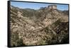 Volcanic plateau of Sierra Tarahumara, above Copper Canyon, Chihuahua, Mexico, North America-Tony Waltham-Framed Stretched Canvas
