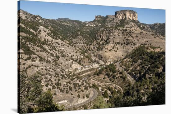 Volcanic plateau of Sierra Tarahumara, above Copper Canyon, Chihuahua, Mexico, North America-Tony Waltham-Stretched Canvas