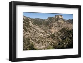 Volcanic plateau of Sierra Tarahumara, above Copper Canyon, Chihuahua, Mexico, North America-Tony Waltham-Framed Photographic Print