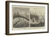 Volcanic Remains Near Borneo-null-Framed Giclee Print