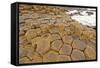 Volcanic Rock Formation near the Ocean-wildnerdpix-Framed Stretched Canvas