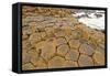 Volcanic Rock Formation near the Ocean-wildnerdpix-Framed Stretched Canvas