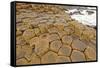 Volcanic Rock Formation near the Ocean-wildnerdpix-Framed Stretched Canvas