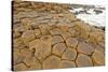 Volcanic Rock Formation near the Ocean-wildnerdpix-Stretched Canvas