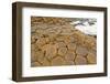 Volcanic Rock Formation near the Ocean-wildnerdpix-Framed Photographic Print