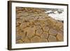 Volcanic Rock Formation near the Ocean-wildnerdpix-Framed Photographic Print