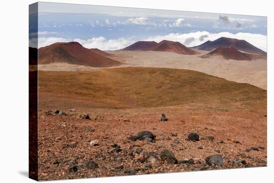 Volcanic Rock Formations , the Big Island of Hawaii-James White-Stretched Canvas