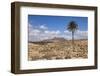 Volcano Caldera De Gairia, Near Tuineje, Fuerteventura, Canary Islands, Spain, Atlantic, Europe-Markus Lange-Framed Photographic Print