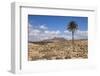 Volcano Caldera De Gairia, Near Tuineje, Fuerteventura, Canary Islands, Spain, Atlantic, Europe-Markus Lange-Framed Photographic Print