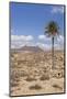 Volcano Caldera De Gairia, Tuineje, Fuerteventura, Canary Islands, Spain, Europe-Markus Lange-Mounted Photographic Print