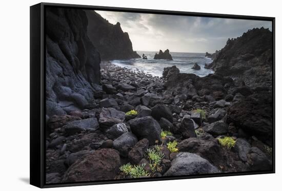 Volcano Coast, Garachico, Tenerife, Canary Islands, Spain-Marco Isler-Framed Stretched Canvas