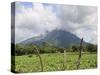 Volcano Concepcion, Isla De Ometepe, Ometepe Island, Nicaragua, Central America-Wendy Connett-Stretched Canvas