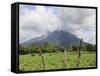 Volcano Concepcion, Isla De Ometepe, Ometepe Island, Nicaragua, Central America-Wendy Connett-Framed Stretched Canvas