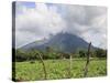 Volcano Concepcion, Isla De Ometepe, Ometepe Island, Nicaragua, Central America-Wendy Connett-Stretched Canvas