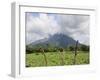 Volcano Concepcion, Isla De Ometepe, Ometepe Island, Nicaragua, Central America-Wendy Connett-Framed Photographic Print