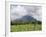 Volcano Concepcion, Isla De Ometepe, Ometepe Island, Nicaragua, Central America-Wendy Connett-Framed Photographic Print