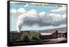 Volcano House - Hawaii Volcanoes National Park-Lantern Press-Framed Stretched Canvas