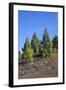 Volcano Landscape in the Nature Reserve Cumbre Vieja, La Palma, Canary Islands, Spain, Europe-Gerhard Wild-Framed Photographic Print