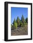 Volcano Landscape in the Nature Reserve Cumbre Vieja, La Palma, Canary Islands, Spain, Europe-Gerhard Wild-Framed Photographic Print