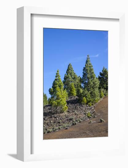 Volcano Landscape in the Nature Reserve Cumbre Vieja, La Palma, Canary Islands, Spain, Europe-Gerhard Wild-Framed Photographic Print