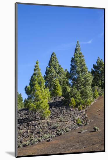 Volcano Landscape in the Nature Reserve Cumbre Vieja, La Palma, Canary Islands, Spain, Europe-Gerhard Wild-Mounted Photographic Print