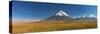 Volcano Licancabur, Los Flamencos National Reserve, Antofagasta Region, Northern Chile-Michele Falzone-Stretched Canvas