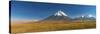 Volcano Licancabur, Los Flamencos National Reserve, Antofagasta Region, Northern Chile-Michele Falzone-Stretched Canvas