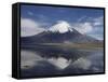 Volcano of Parinacola, Parque Nacional De Lauca, Chile-Anthony Waltham-Framed Stretched Canvas