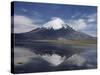 Volcano of Parinacola, Parque Nacional De Lauca, Chile-Anthony Waltham-Stretched Canvas