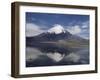 Volcano of Parinacola, Parque Nacional De Lauca, Chile-Anthony Waltham-Framed Photographic Print