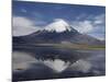 Volcano of Parinacola, Parque Nacional De Lauca, Chile-Anthony Waltham-Mounted Photographic Print