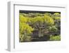 Volcano Scenery at the Pico De Tablas, Island La Palma, Canary Islands, Spain-Rainer Mirau-Framed Photographic Print